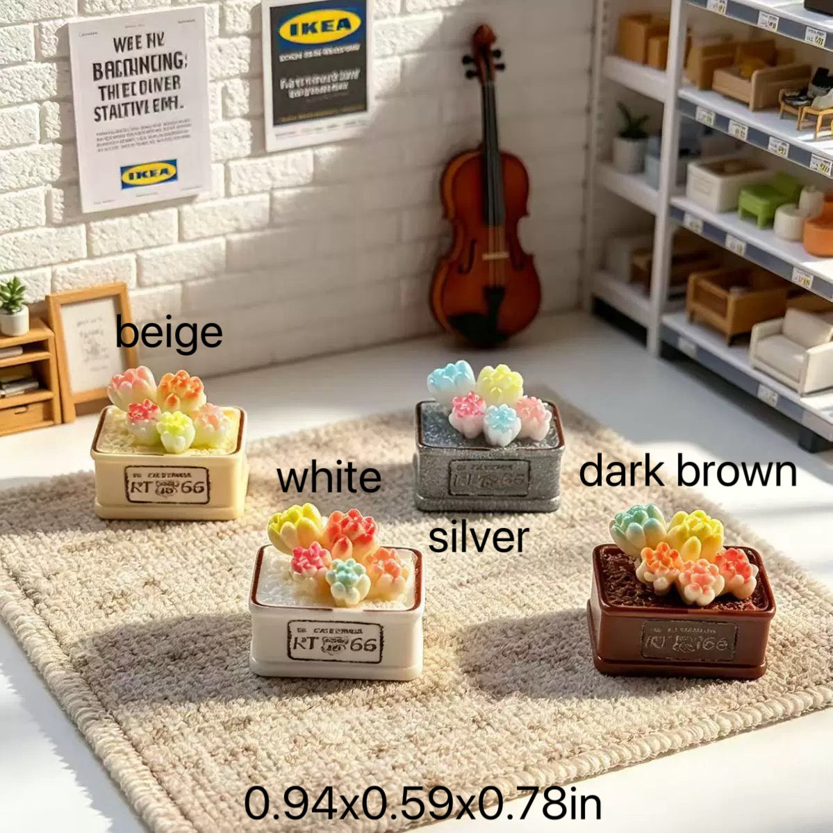 A box of succulents