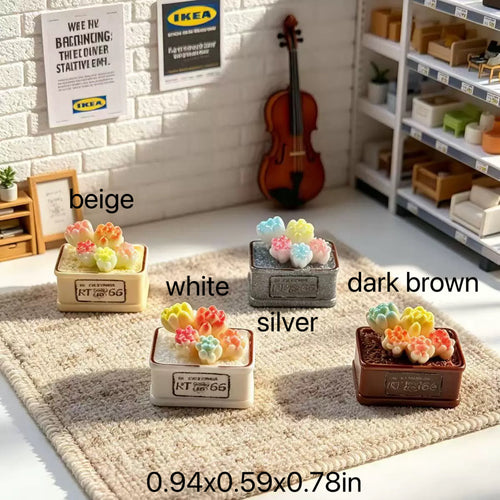 A box of succulents