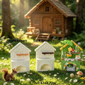 forest cabin